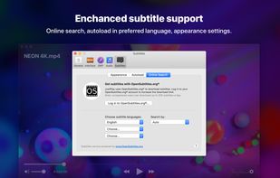 Subtitles support