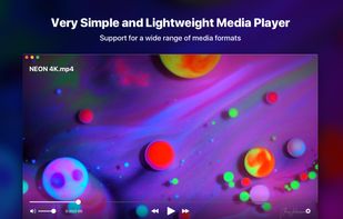 Universal video player