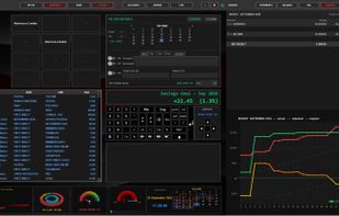 Ledger filter and daily budget vs real expense and income evolution line chart