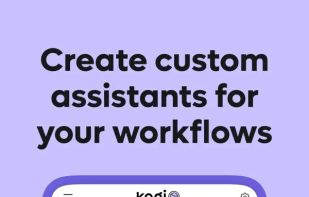 Kagi Assistant screenshot 3