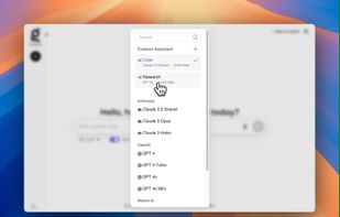 Kagi Assistant screenshot 1