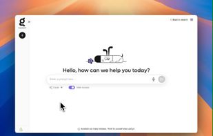 Kagi Assistant screenshot 1