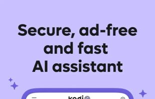 Kagi Assistant screenshot 1