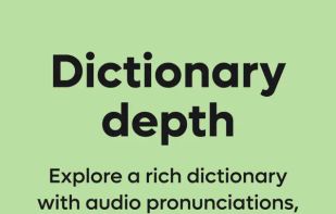 Kagi Translate screenshot 2