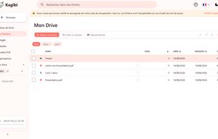 Files view