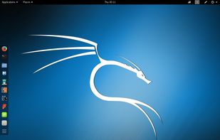 Kali Linux screenshot 1