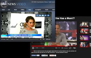 Kaltura Player screenshot 1