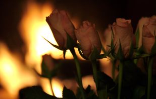 Kaminfeuer Comprehensive Edition 6 screenshot 1