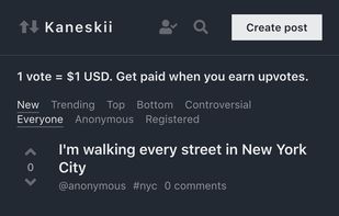 Kaneskii screenshot 2