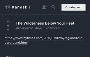 Kaneskii screenshot 3