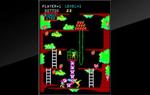 Kangaroo(Arcade Archives) screenshot 3