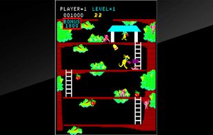 Kangaroo(Arcade Archives) screenshot 1