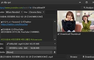 yt-dlp-gui screenshot 1