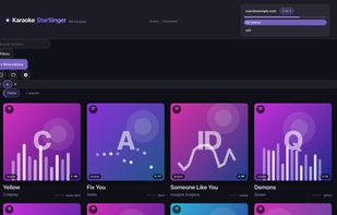 TV mode: your own library on a big screen, for singing with other people in the room.