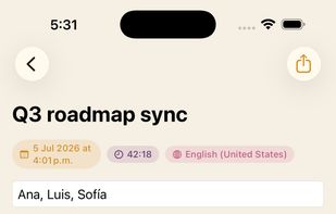 iPhone: a meeting's summary