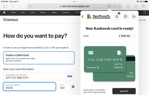 Kasheesh screenshot 1