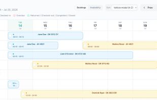 The rental calendar provides a clear overview of bookings and asset availability across the selected workspace.