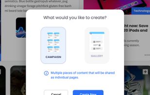 Create a campaign or a gallery