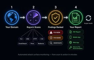External security scan findings explained