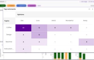 Topics and opinions heatmap