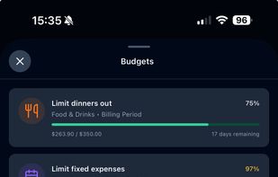 Budgets - Track spending limits by category with progress bars