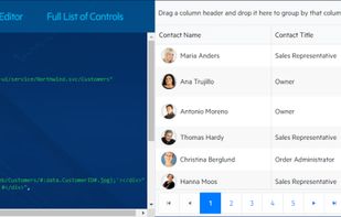Kendo UI screenshot 1