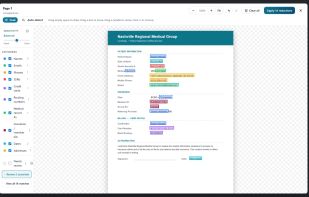 Auto-detect highlights names, SSNs and account numbers for review