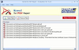 Kernel for PDF Repair screenshot 1