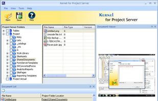 Kernel for Project Server screenshot 1