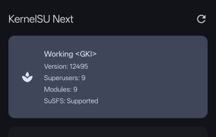 KernelSU Next screenshot 1
