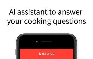 Ketchup.AI screenshot 1