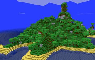 Green and beautiful lush forest with tomato trees