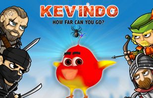 Kevindo Bird Adventure screenshot 1