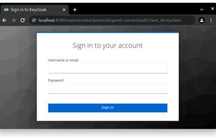 End result log-in page. Optionally, the feel and look of this page can be customized to your liking.