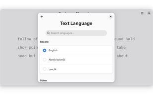 Text language selection
