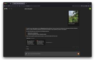 chat with an image, see references