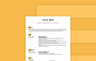 Professional resume templates