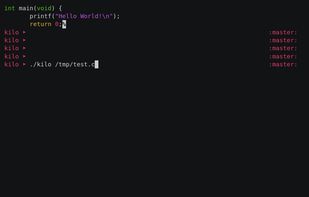 Kilo Text Editor screenshot 1