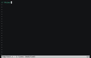 Kilo Text Editor screenshot 2