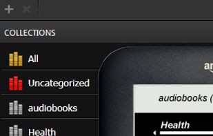 Kindlian screenshot 2