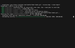 CLI Output