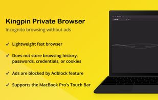 Kingpin Private Browser screenshot 1