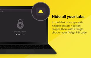 Kingpin Private Browser screenshot 3