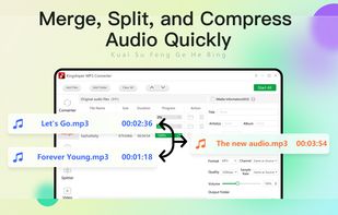 Kingshiper MP3 Converter screenshot 2