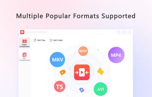 Multiple Popular Formats Supported