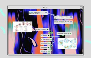Kinopio screenshot 3