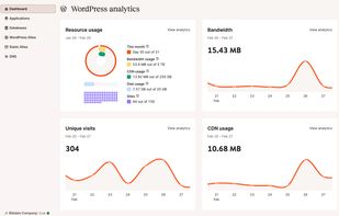 MyKinsta WordPress analytics