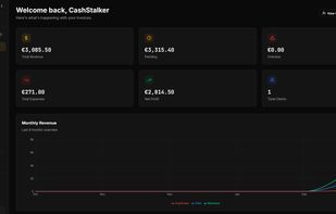Dashboard with real-time overview of revenue, expenses, net profit, and monthly analytics chart.