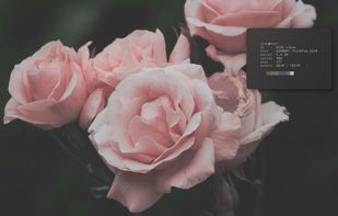 KISS Linux screenshot 1