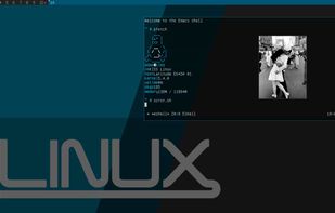 KISS Linux screenshot 2